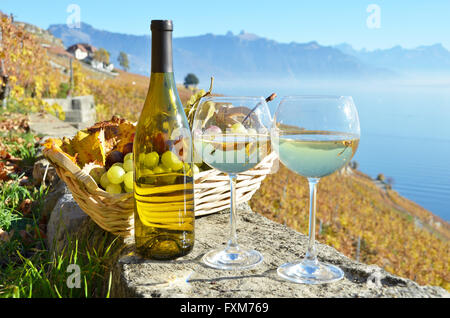 Vin contre vignobles de Lavaux, Suisse Banque D'Images