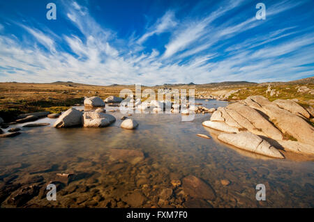 Snowy River dans le Parc National de Kosciuszko. Banque D'Images