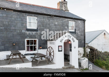 Les porcs traditionnels nez pub anglais du 16ème siècle dans l'Est de Prawle Devon Uk Banque D'Images