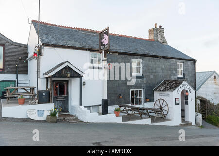 Les porcs traditionnels nez pub anglais du 16ème siècle dans l'Est de Prawle Devon Uk Banque D'Images