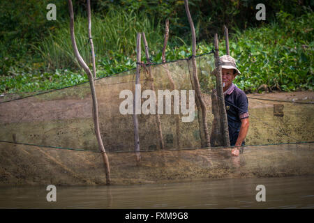 Vietnamese homme debout dans l'eau statique avec les filets de pêche utilisés pour la reproduction des poissons, Chau Doc, Vietnam Banque D'Images