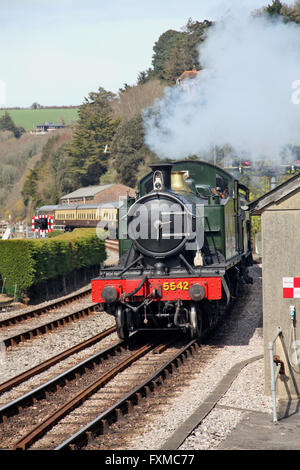 Un train à vapeur, Devon Kingswear approches chargé avec les vacanciers Banque D'Images