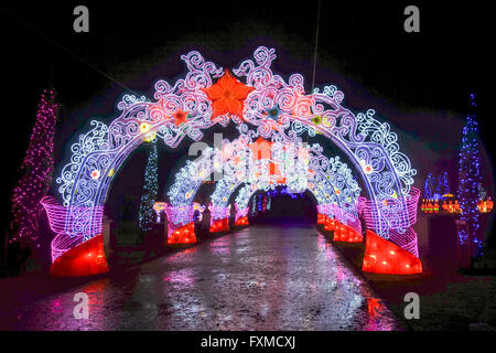 Un pont traditionnel à la Lanterne Magique Festival célèbre l'année du singe à Chiswick Park à Londres. Banque D'Images