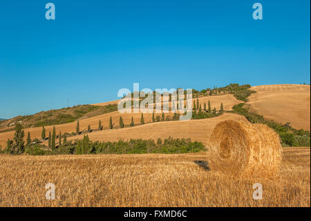 Paysage de la Toscane avec des bottes de foin dans le champ, Italie Banque D'Images