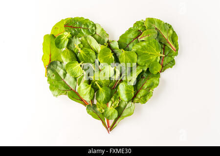 Forme de coeur faits de feuilles de salade sur fond blanc Banque D'Images