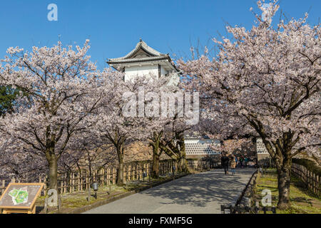 Le Château de Kanazawa, Kanazawa, Japon Banque D'Images