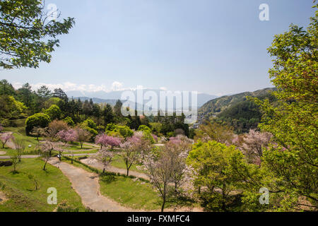 Flower Hill parc local, Ina, Japon Banque D'Images