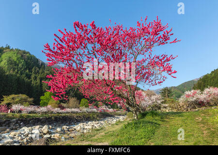 Le Moon River Hot Springs, Nagano, Japon Banque D'Images