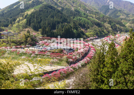 Le Moon River Hot Springs, Nagano, Japon Banque D'Images