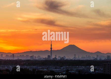 Tokyo Skytree et Fuji au coucher du soleil, Tokyo, Japon Banque D'Images