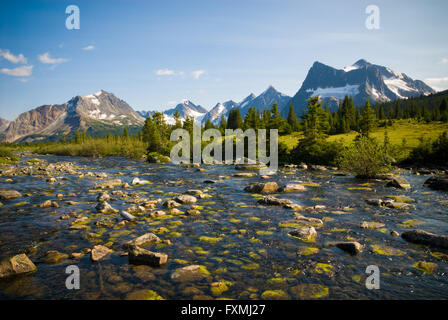 En Vallée Tonquin Creek dans le parc national Jasper Banque D'Images