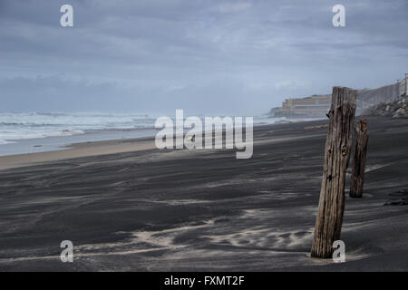 Plage de sable noir Banque D'Images