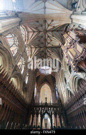 Le choeur et la voûte, Cathédrale d'Ely, Cambridgeshire, Angleterre, RU Banque D'Images