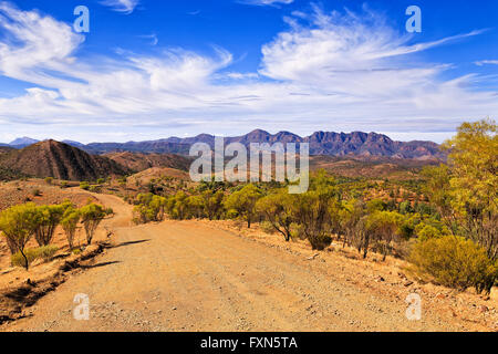 Un large chemin de gravier descellé à Wilpena pounds dans le parc national de Flinders Ranges par eucalyptus et terre rouge de l'outback. Banque D'Images