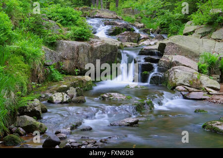 Bodewasserfall im Harz - rivière cascade de bon augure dans Harz Banque D'Images