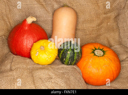 Hokkaido, butternut et warty citrouilles sur un sac de jute Banque D'Images