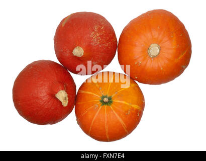 Deux citrouilles Hokkaido, Cucurbita maxima 'Red' Hokkaido, isolé sur fond blanc Banque D'Images