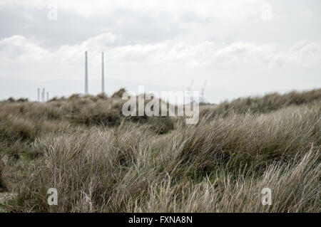 Vue sur le port de Dublin et de la centrale de Poolbeg Bull Island Banque D'Images