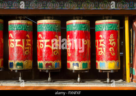 Roues de prière au temple bouddhiste, McLeod Ganj, District Kangra, Dharamsala, Himachal Pradesh, Inde. Banque D'Images