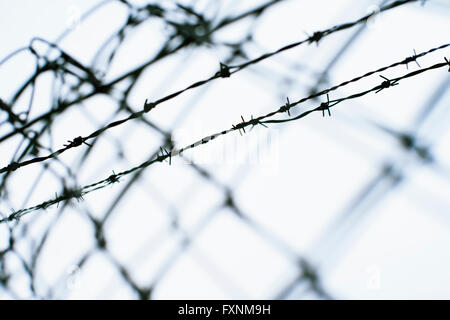 Close up portrait of Barbed Wire Fence Banque D'Images
