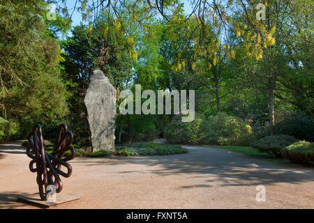 Deutschland, Nordrhein-Westfalen, Köln-Rodenkirchen, Forstbotanischer Garten Banque D'Images