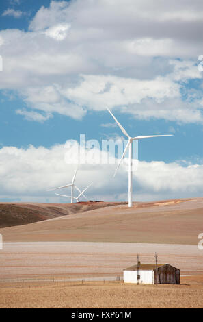 D'Overberg, éoliennes, Caledon, Western Cape, Afrique du Sud. Banque D'Images