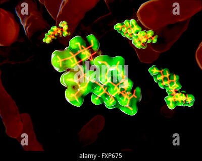 Antibiotique Streptomycine et de bactéries. Illustration des modèles moléculaires de l'antibiotique streptomycine (vert et jaune) agissant sur les bactéries (rouge). Les antibiotiques sont utilisés pour traiter et empêcher des infections bactériennes. Leur effet est de tuer ou d'inhiber la croissance des bactéries. La streptomycine est un inhibiteur de la synthèse des protéines qui a été découvert dans les années 40. Il est dérivé de l'actinobacterium Streptomyces griseus. Il a été le premier médicament efficace pour traiter la tuberculose (TB), mais à cause de graves effets secondaires, il a été largement remplacé par d'autres antibiotiques pour traiter la tuberculose. Il est utilisé pour traiter Banque D'Images