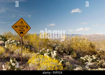 Partager la route pittoresque sign in desert landscape Banque D'Images