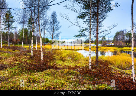 Les plages colorées du lac Inari à Nellim en plein automne robe Banque D'Images