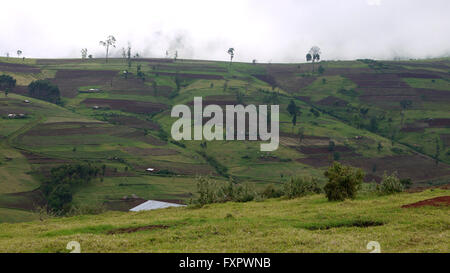 Kapchorwa, Ouganda. 16 avril, 2016. Une photo vue sur place d'Teryet village niché sur les pentes du mont Elgon en Ouganda. La zone vierge sera le premier à l'Ouganda accueil High Altitude Sports Centre de formation. Le développement permettrait d'économiser les athlètes ougandais de voyager de longues distances pour s'entraîner dans les hautes terres du Kenya. Banque D'Images