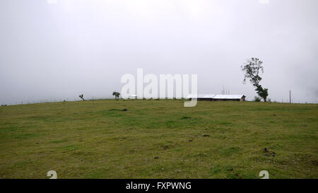 Kapchorwa, Ouganda. 16 avril, 2016. Une photo vue sur place d'Teryet village niché sur les pentes du mont Elgon en Ouganda. La zone vierge sera le premier à l'Ouganda accueil High Altitude Sports Centre de formation. Le développement permettrait d'économiser les athlètes ougandais de voyager de longues distances pour s'entraîner dans les hautes terres du Kenya. Banque D'Images