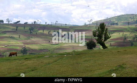 Kapchorwa, Ouganda. 16 avril, 2016. Une photo vue sur place d'Teryet village niché sur les pentes du mont Elgon en Ouganda. La zone vierge sera le premier à l'Ouganda accueil High Altitude Sports Centre de formation. Le développement permettrait d'économiser les athlètes ougandais de voyager de longues distances pour s'entraîner dans les hautes terres du Kenya. Banque D'Images