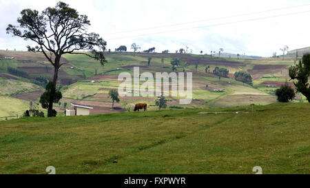 Kapchorwa, Ouganda. 16 avril, 2016. Une photo vue sur place d'Teryet village niché sur les pentes du mont Elgon en Ouganda. La zone vierge sera le premier à l'Ouganda accueil High Altitude Sports Centre de formation. Le développement permettrait d'économiser les athlètes ougandais de voyager de longues distances pour s'entraîner dans les hautes terres du Kenya. Banque D'Images