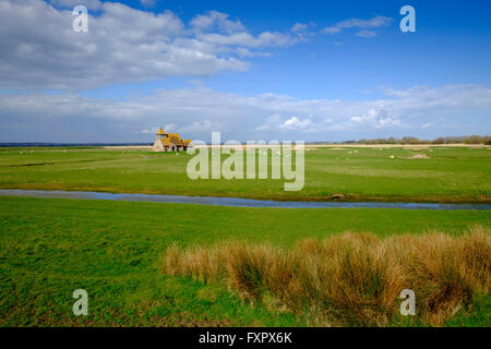 Le magnifique paysage à St Thomas à Becket Église dans Fairfield qui se trouve seul dans un champ sur le Romney Marsh dans le Kent Banque D'Images