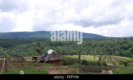 Kapchorwa, Ouganda. 16 avril, 2016. Une place d'accueil niché sur les pentes sur le mont Elgon est situé dans l'Est de l'Ouganda pour bénéficier de la Haute Altitude Sports Centre de formation à construire dans la région. Banque D'Images