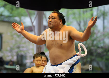 Tokyo Japon. 18 avr, 2016. Harumafuji, Sumo : tournoi de sumo annuel consacré au Yasukuni à Tokyo au Japon. Credit : YUTAKA/AFLO SPORT/Alamy Live News Banque D'Images