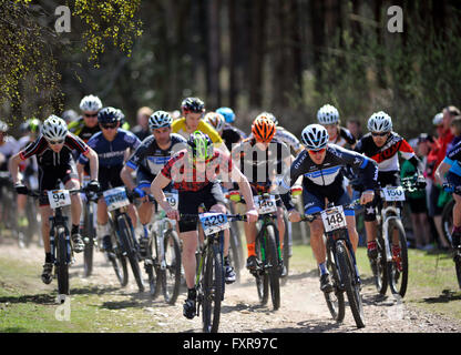 Woodbury Common, Devon, UK, le 17 avril 2016. Les coureurs d'élite d'experts et de commencer la première série de l'ouest du sud MTB XC vtt de course qui s'est tenue à Woodbury Common près d'Exeter. @ David Partridge / Alamy Live News Banque D'Images