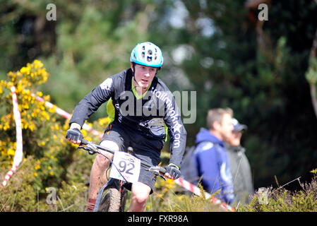 Woodbury Common, Devon, UK, le 17 avril 2016. L'action de la première série de l'ouest du sud MTB XC vtt de course qui s'est tenue à Woodbury Common près d'Exeter. @ David Partridge / Alamy Live News Banque D'Images