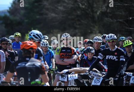 Woodbury Common, Devon, UK, le 17 avril 2016. Les coureurs de tous les âges se préparent à commencer la première série de l'ouest du sud MTB XC vtt de course qui s'est tenue à Woodbury Common près d'Exeter. @ David Partridge / Alamy Live News Banque D'Images