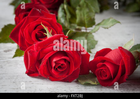 Roses rouges sur la table rustique en bois blanc gros plan extrême. Profondeur de champ. Banque D'Images