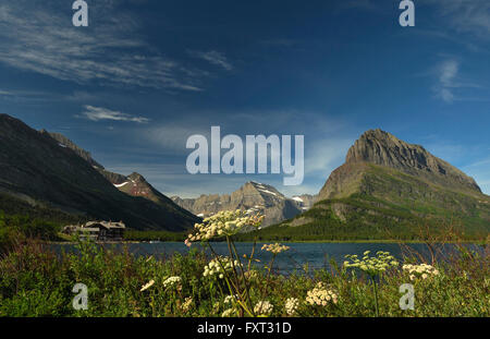 Swiftcurrent Lake dans la région de Glacier, Glacier National Park, Montana, USA Banque D'Images