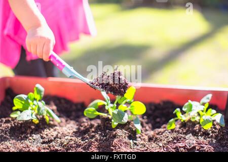 Jeune fille au jardin, creuser avec la truelle, mid section Banque D'Images