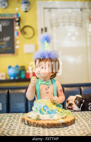 Garçons de bébé chien regardant gâteau d'anniversaire sur la table en désordre Banque D'Images