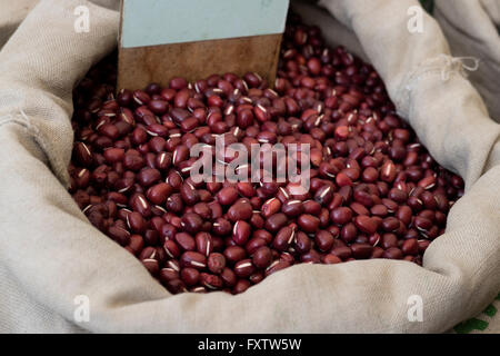 Les haricots azuki avec sac en vente sur le marché à Amsterdam Banque D'Images