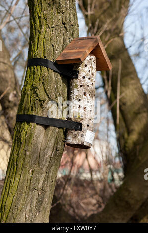 Hôtel d'insectes en bois habitat sur arbre dans le parc de l'arbre, avec des trous à l'aide du journal nature, au début du printemps en France, l'Europe. Banque D'Images