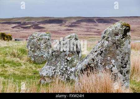 Achavanich Standing Stones, Loch Stemster, Latheron, Caithness, Écosse Banque D'Images