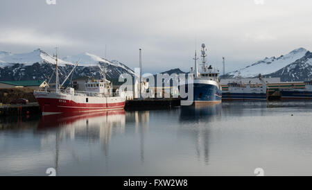 Petit port de pêche dans le sud-est de la ville de Höfn, à l'Islande. Banque D'Images