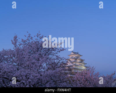 Château de Himeji et cherry blossom après les travaux terminés en 2015 . Himeji, préfecture de Hyogo au Japon. Banque D'Images