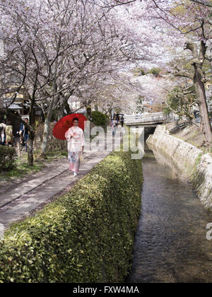 Femme japonaise en kimono à la Promenade du Philosophe près de Ginkaku-ji, Kyoto, Japon au cours cherry blossom Banque D'Images