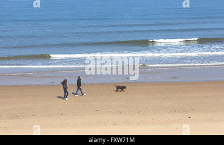Un couple en train de marcher leur chien sur la plage à Brancaster, Norfolk, Angleterre, Royaume-Uni. Banque D'Images
